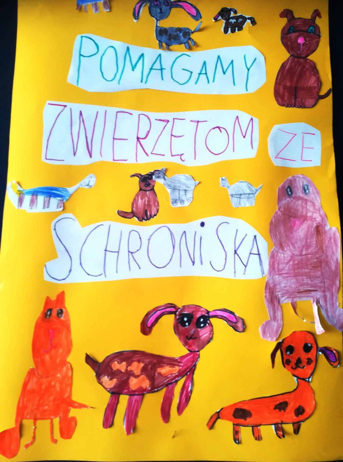 Pomagamy zwierzętom